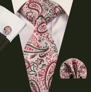 Men Neckties Sets